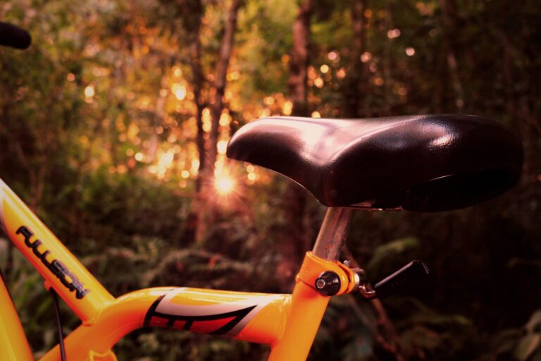 Close-up of a bicycle saddle in a vibrant forest at sunset.