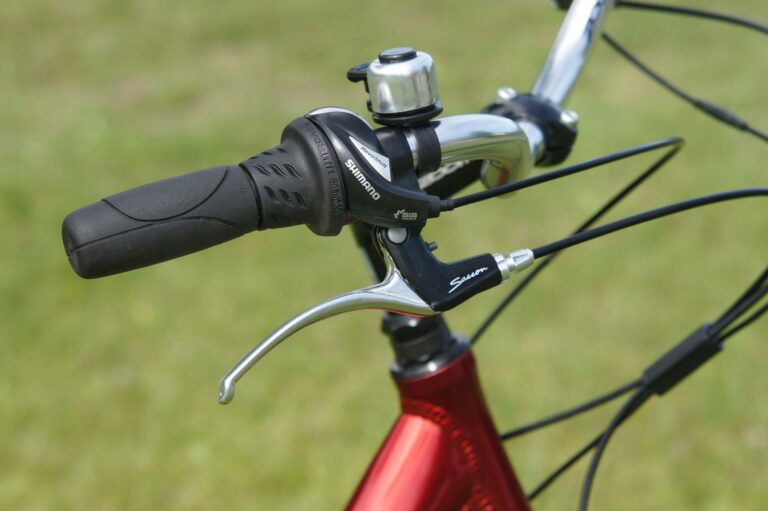Detailed view of a bicycle's handlebar, brake lever, and bell.