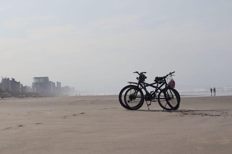 Two bicycles parked on a serene beach with distant skyline. Ideal for travel and lifestyle visuals.