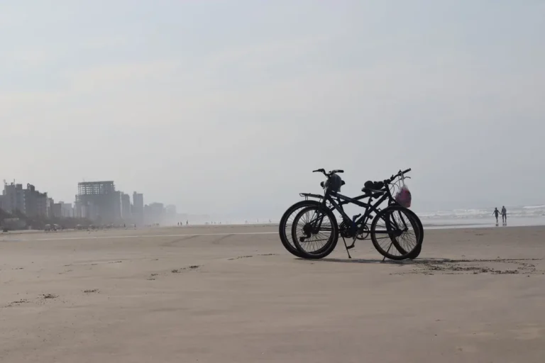 Two bicycles parked on a serene beach with distant skyline. Ideal for travel and lifestyle visuals.