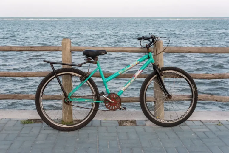 A vibrant green bicycle rests against a wooden fence overlooking the ocean in Porto Seguro, Brazil.