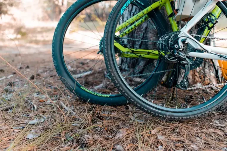 Detailed shot of bike wheels resting on pine needles, highlighting outdoor adventure.