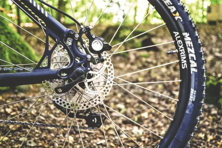 Detailed shot of a mountain bike's disc brake and wheel in a forest setting.