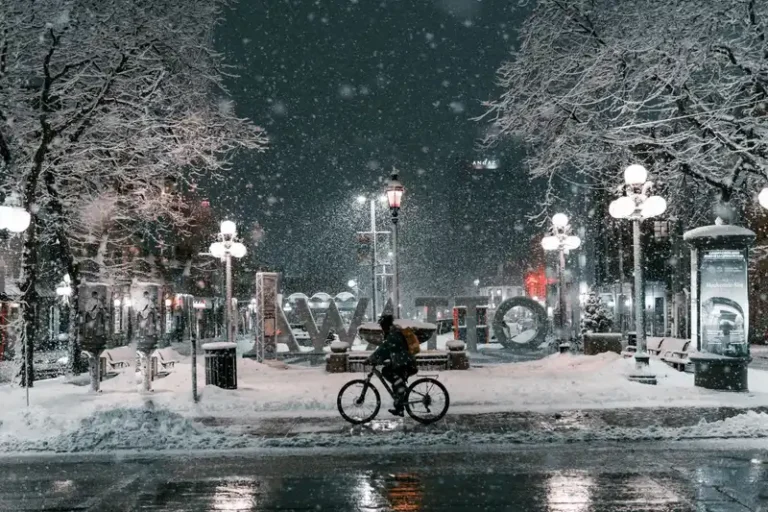 A cyclist rides through a snowy street in Ottawa at night, surrounded by illuminated trees.